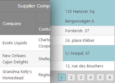 ASP.NET AJAX Data Grid Control .